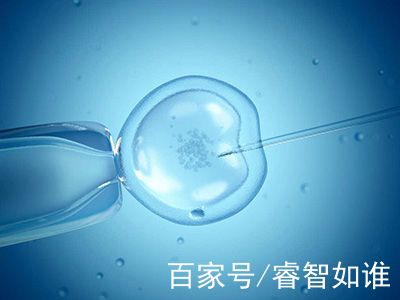 PGT胚胎实验室