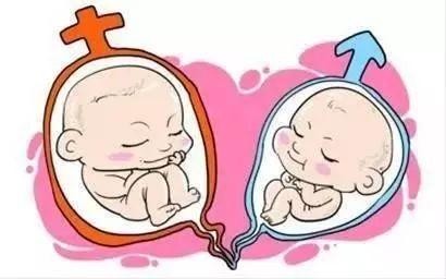 培养箱